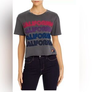 🌈 EUC Aviator Nation California Repeat Boyfriend Tee - Vintage Charcoal - Sz L